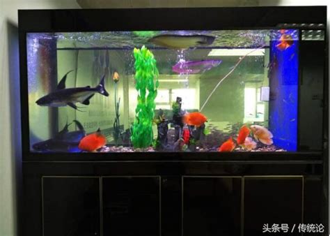 魚缸擺放房間|魚缸能招財…但千萬別放這些地方！觸犯「5禁忌」反損財 